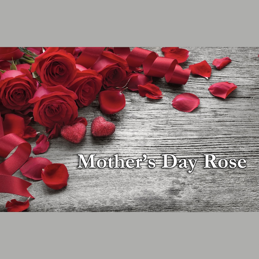Mother's Day Roses